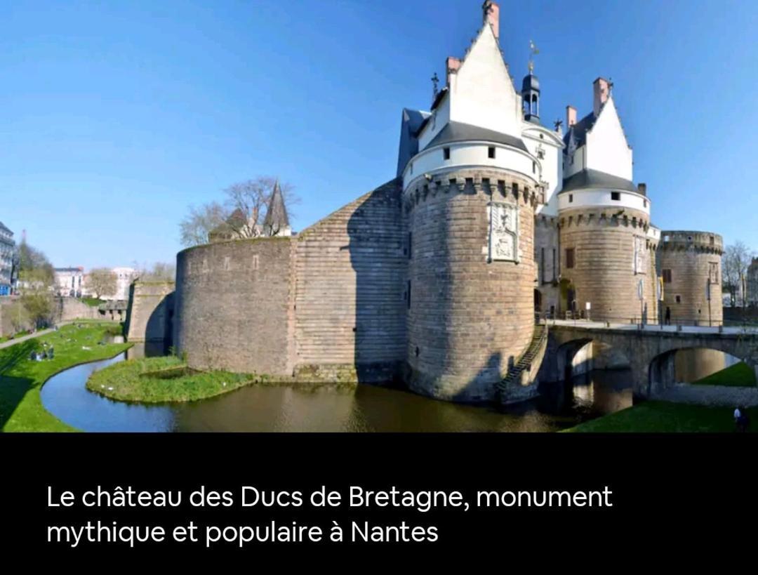 Felix Vue Erdre & Cite Des Congres / Gare Sud Apartment Nantes Ngoại thất bức ảnh